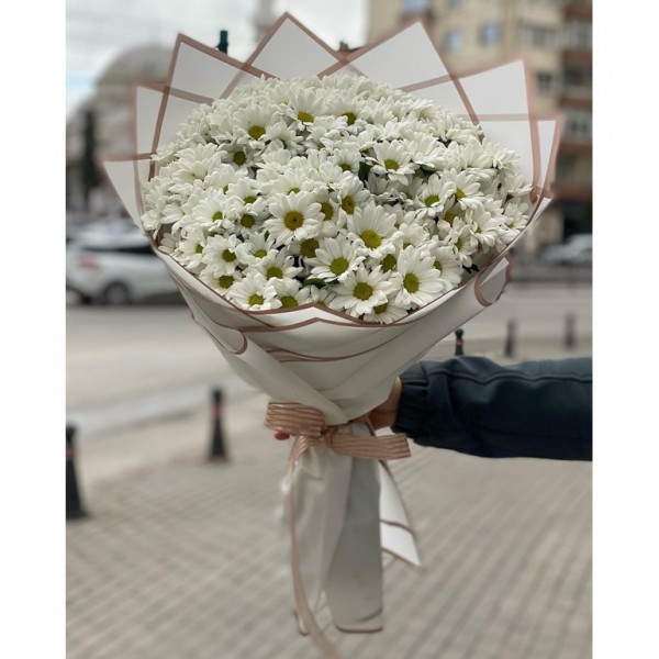 Beyaz Papatya Buketi